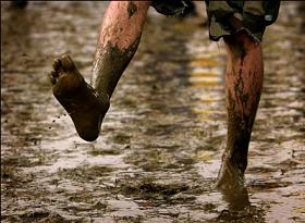 Muddy feet 291